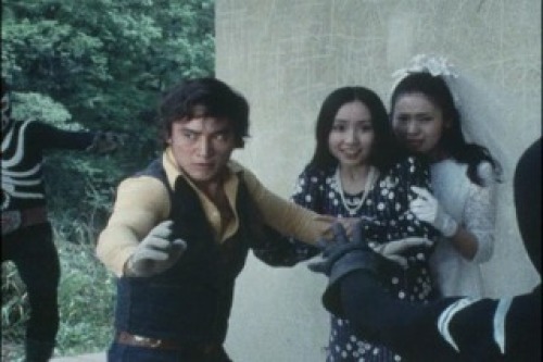 PDVD_004.jpg