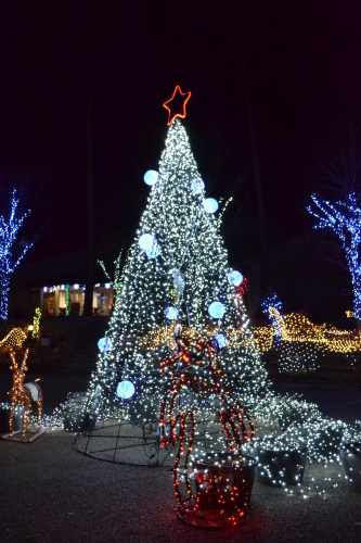 DSC_0032.JPG