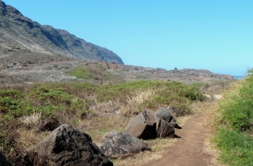 pict-カエナ 11.jpg