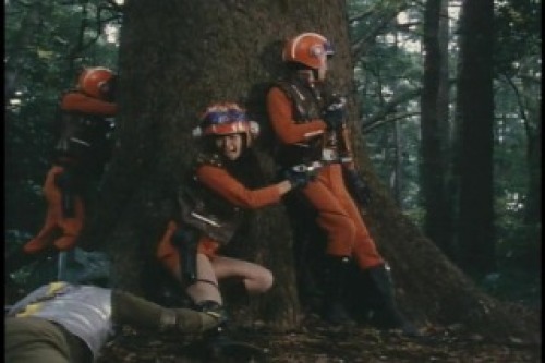 PDVD_019.jpg