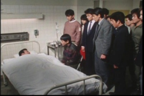 PDVD_039.jpg