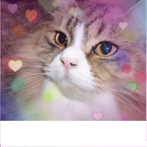 ジャム君.jpg