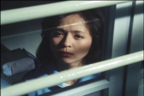 PDVD_028.jpg