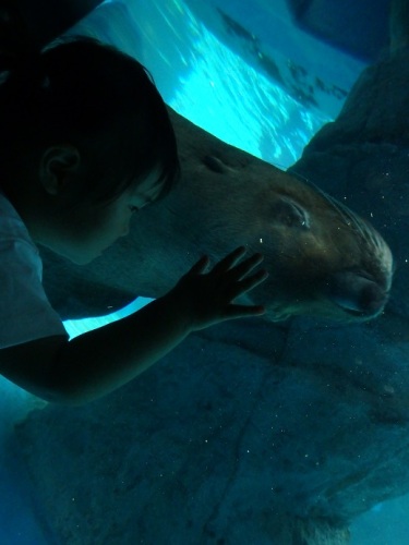 水族館4.JPG