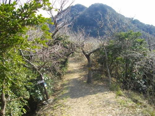 沼津アルプス馬込峠 (1) (500x375).jpg