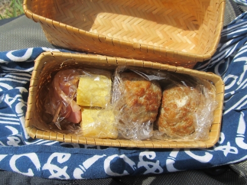 t_IMG_3090.jpg