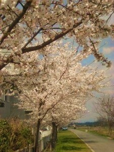 DSCN7782 (300x225).jpg