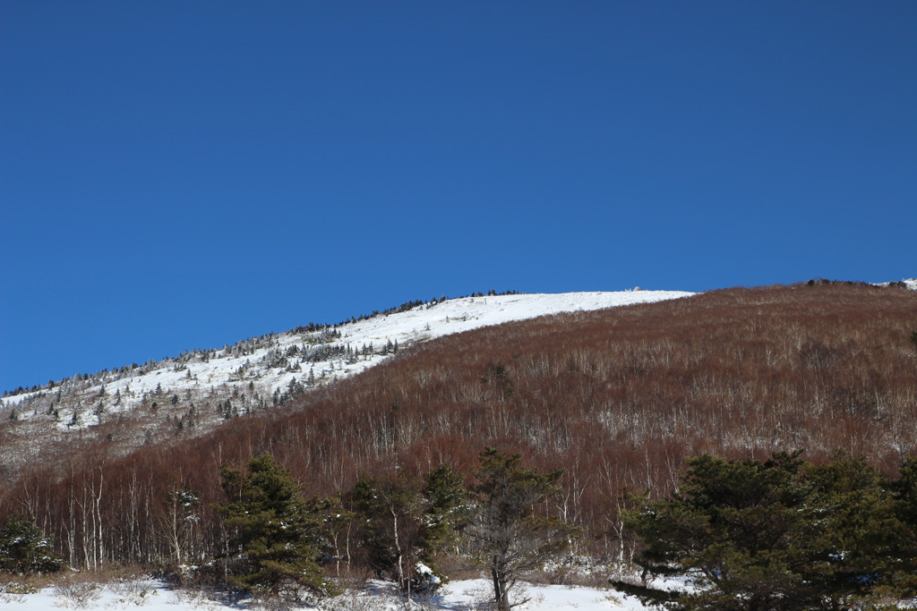 根子岳