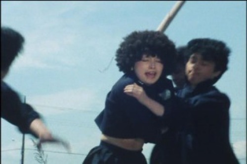 PDVD_034.jpg
