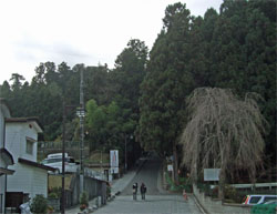 瑞鳳殿1.jpg