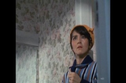 PDVD_006.jpg