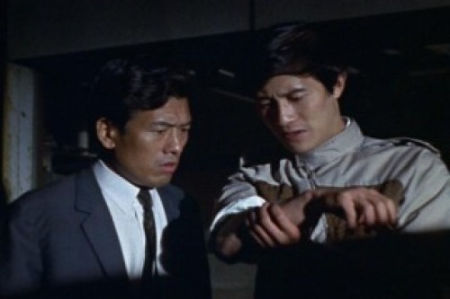 PDVD_010.jpg