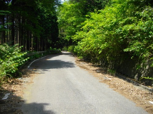 南郷山白銀林道 (2) (500x375).jpg