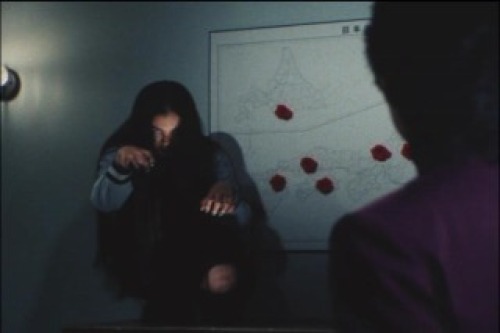 PDVD_006.jpg