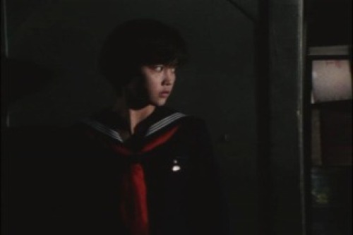 PDVD_023.jpg