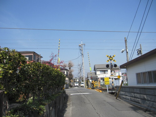 新着記事一覧 わさびくま日記 楽天ブログ