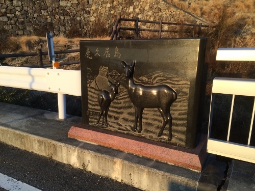 280117_10 (500x375).jpg