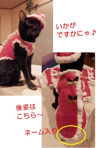 20131208_4.jpg