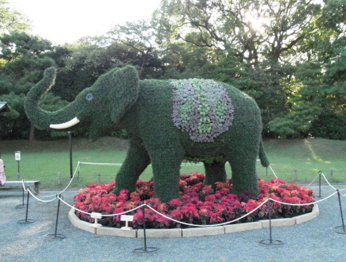 20121013　1浜離宮　象.jpg