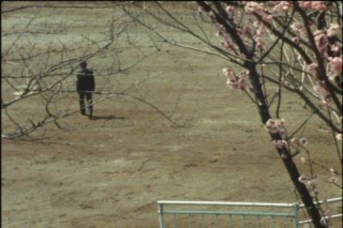 PDVD_034.jpg