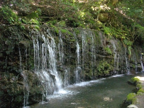 湯坂路千条の滝 (500x375).jpg