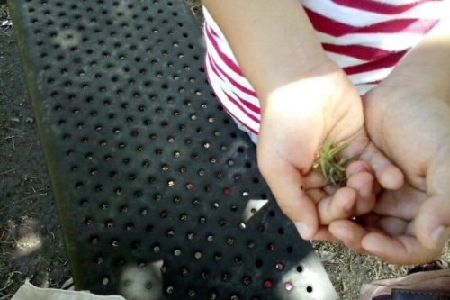 2016-06-18 11-28-12.jpg