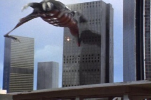 PDVD_010.jpg