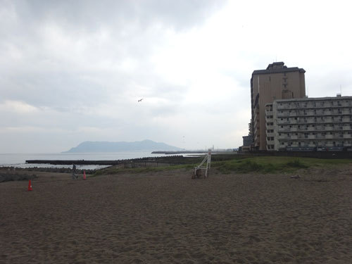 1407265.jpg