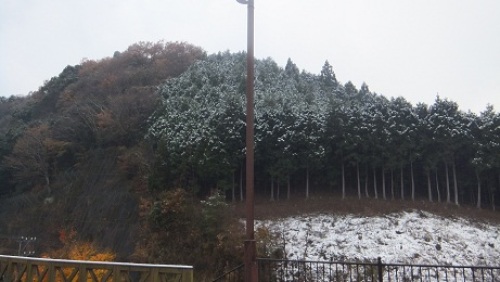 DSCF2020.JPG