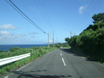 屋久島95.jpg