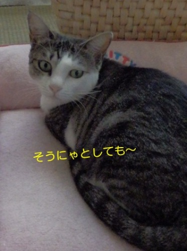 20140906_5.jpg