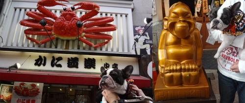 大阪3.jpg