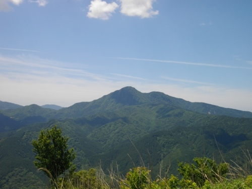 矢倉岳山頂金時山.JPG