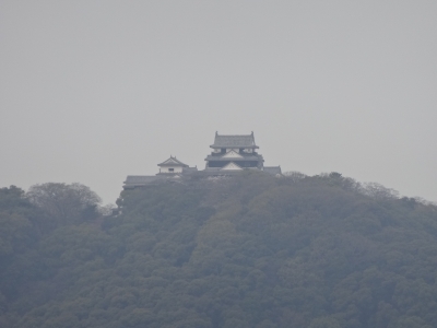 DSC00699.jpg