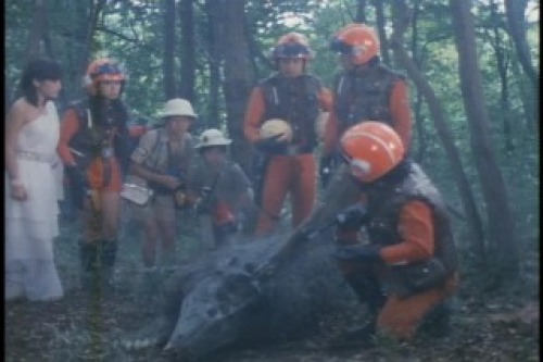 PDVD_012.jpg