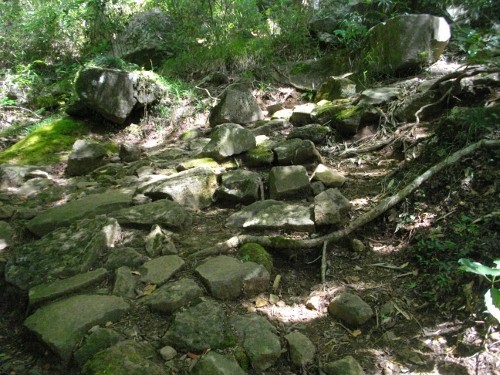 湯坂路登山道 (500x375).jpg