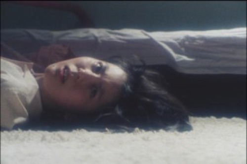 PDVD_001.jpg