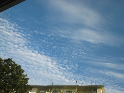鰯雲-2.jpg