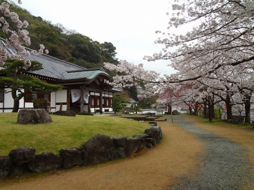 龍野　さくら祭 (11).jpg