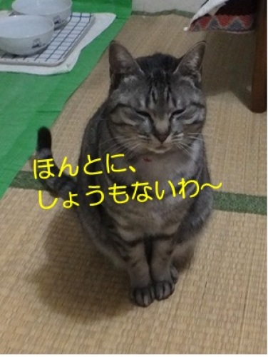 20130216_3.jpg