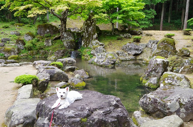 諏訪館跡庭園.jpg