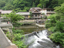 東鳳49.jpg