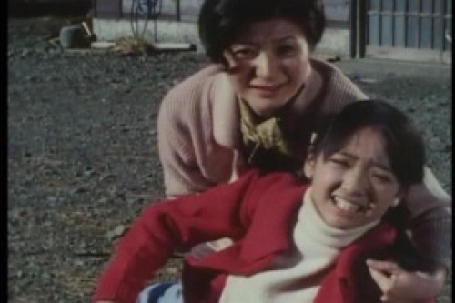 PDVD_004.jpg