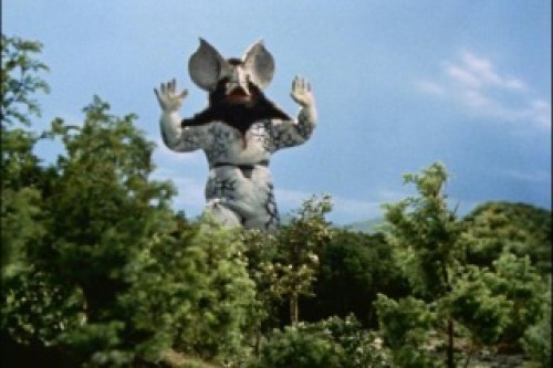 PDVD_022.jpg
