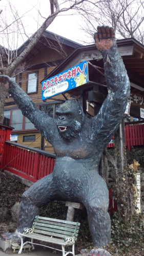 DSC_1667.jpg