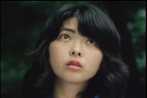 PDVD_012.jpg