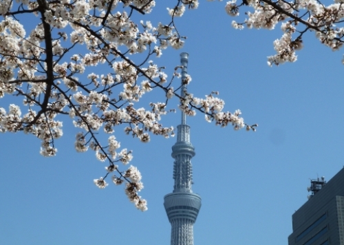 pict-墨田公園 4.jpg