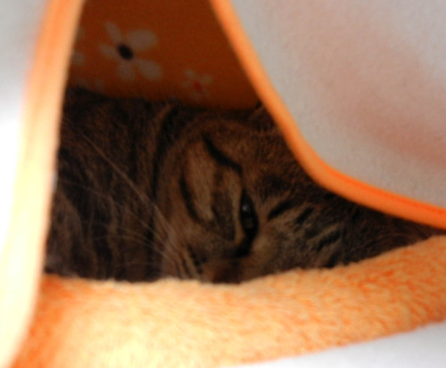 DSCN2056a.jpg