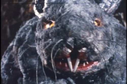 PDVD_007.jpg