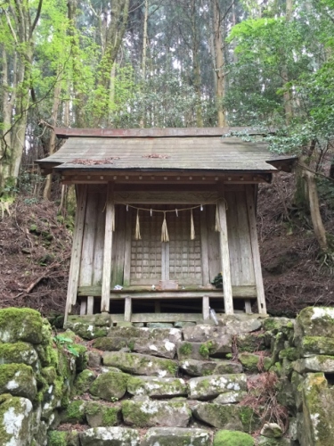 IMG_6416 (480x640).jpg